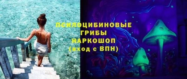соль ск Алексин