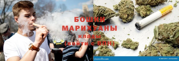 мдпв Гусев