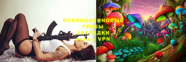 соль ск Алексин