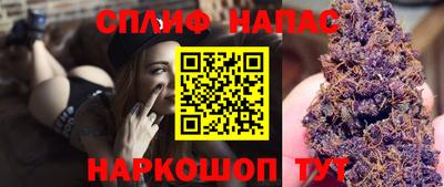 индика Владикавказ