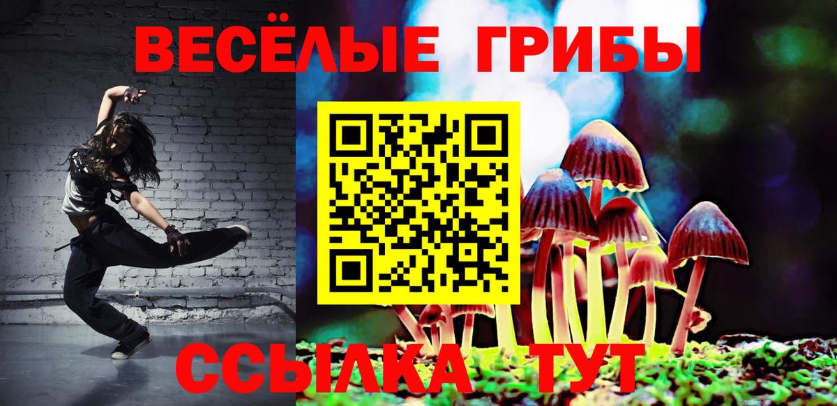 Галлюциногенные грибы Psilocybine cubensis  Псилоцибиновые грибы GOLDEN TEACHER  Владивосток  Вход с VPN 